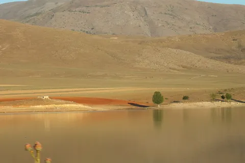 水,河,玻璃状,开放,水,水,河流,绿色,宁静 水,河,玻璃状,开放,水,水,河流,绿色,宁静