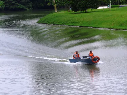 中国花园，新加坡，渔船，河流，船，自然，水，人