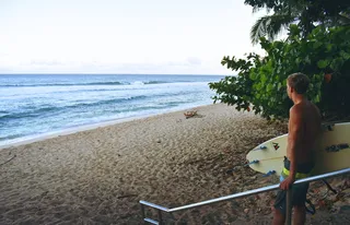 美国北岸，夏威夷瓦亚卢，海洋，海洋，水，冲浪