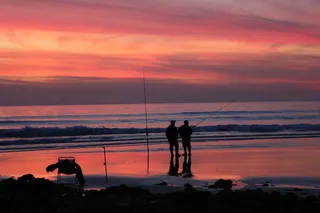加的斯，西班牙，自然，海滩，海岸，阳光，水，海洋