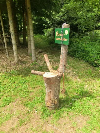 手机，时间，手写，西文，文字，通讯，绿色，树