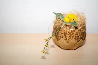 复活节，小鸡，小鸡，彩蛋，春天，鸟巢，复活节彩蛋