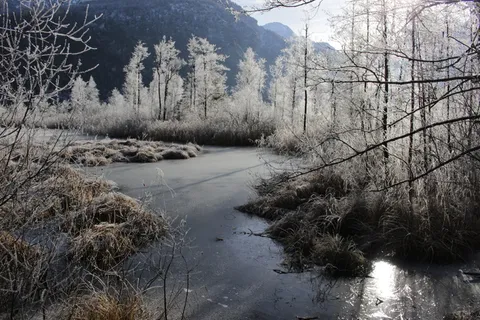 冰,冬天,巴赫,自然,风景,树木,太阳,山脉 冰,冬天,巴赫,自然,风景,树木,太阳,山脉