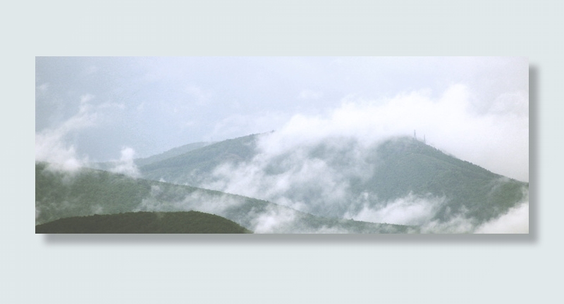 美国，罗阿诺克，森林，雾，云，山，雨，景观