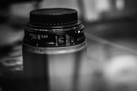 散景摄影中的黑色相机镜头