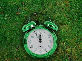 绿色，闹钟，草地，展示，12:50，第十一个小时，自然，自然保护