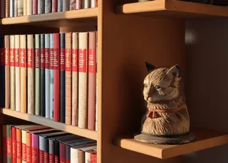书柜, 填充, 书籍, 猫雕塑, 书架, Buchstütze, 读取, 猫