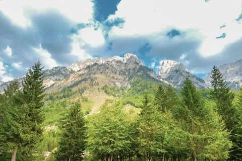 自然、景观、云、山、森林、树木、天空、雪 自然、景观、云、山、森林、树木、天空、雪