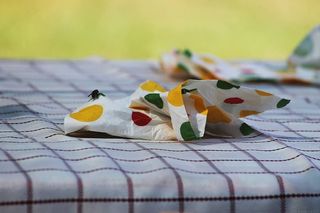 桌子、苍蝇、餐巾、野餐、图案、无人、艺术与工艺、特写