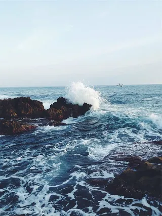 白色，灰色，鸟，飞翔，海浪，飞溅，岩石，白天