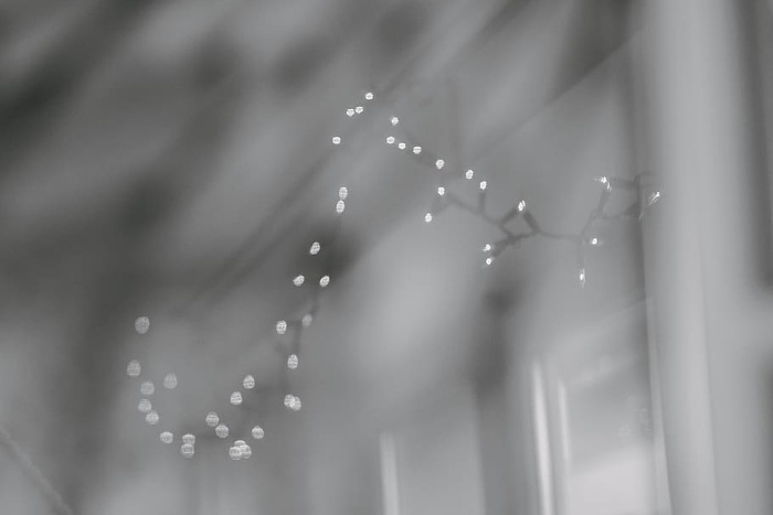 水，滴落，湿润，运动，自然，新鲜，无人，飞溅