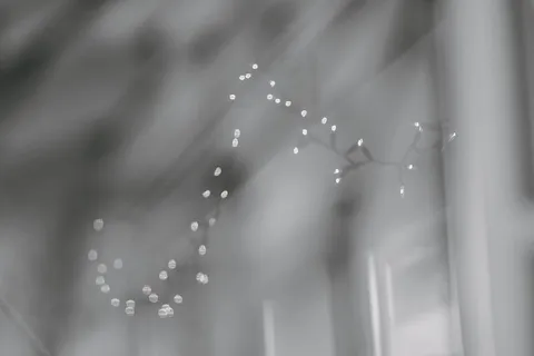 水，滴落，湿润，运动，自然，新鲜，无人，飞溅