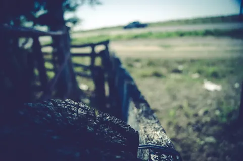 木头，路，日落，水，汽车，栅栏，草，泥