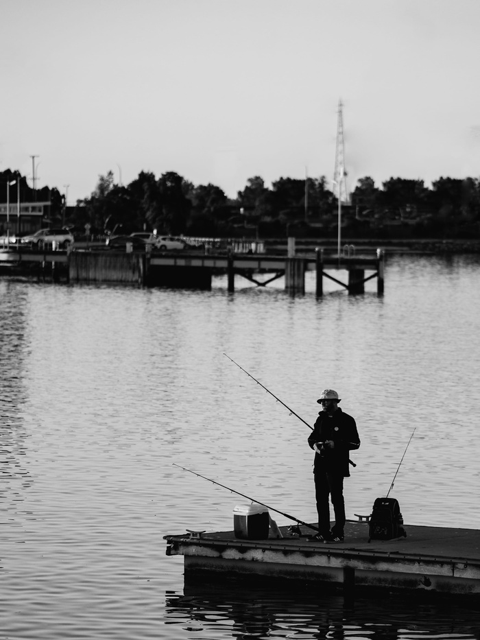 澳大利亚，阿德莱德港，水，钓鱼，黑白，肖像，冒险，探索