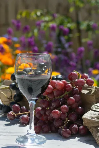 饮料，水果，葡萄，葡萄酒，酒杯，葡萄，水果，葡萄藤