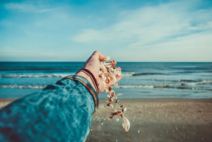 贝壳，海洋，手，贝壳，沙滩，海岸，海洋