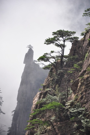 自然，山脉，景观，岩石，旅游，黄山，中国，云
