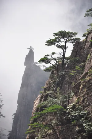 自然，山脉，景观，岩石，旅游，黄山，中国，云