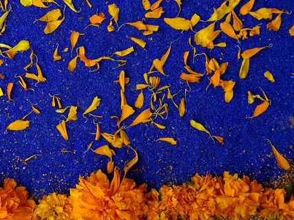 黄色，有花瓣的花，紫色，背景，死亡之日，颜色，蓝色，橙色