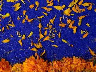 黄色，有花瓣的花，紫色，背景，死亡之日，颜色，蓝色，橙色