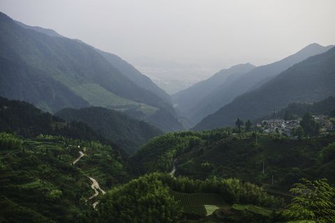 雾，风景，雾，山脉，山脉，自然，户外，风景