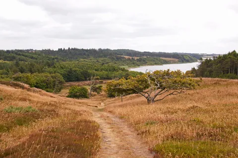 thy,日德兰群岛,丹麦,小径,小山,草地,森林,湖泊 thy,日德兰群岛,丹麦,小径,小山,草地,森林,湖泊