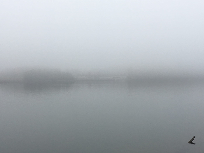 美国，查塔努加，环境，河流，平静，水，雾，湖