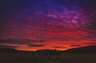 树，天空，颜色，颜色，色彩，黑暗，天空爱好者，hypebeast