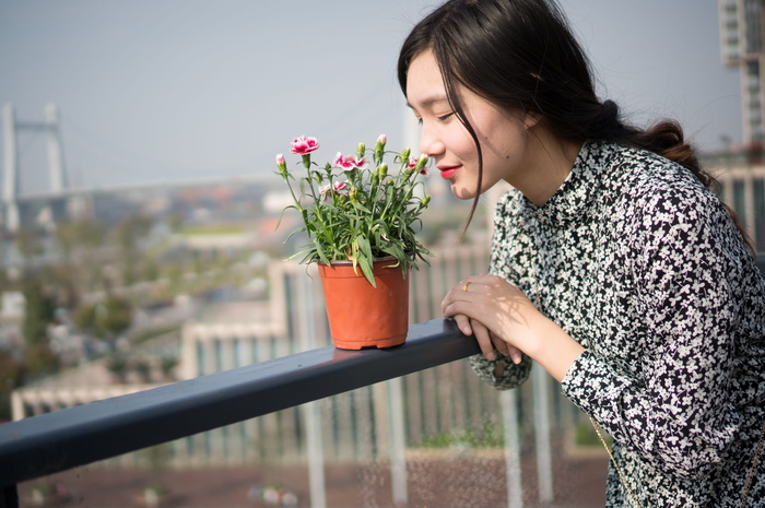 女孩，女性，穿花裙子的女性，植物，开花植物，花朵，年轻女性，手持