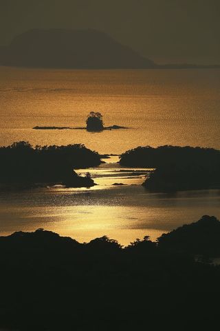 剪影，船，身体，水，黄金，时间，自然，旅行