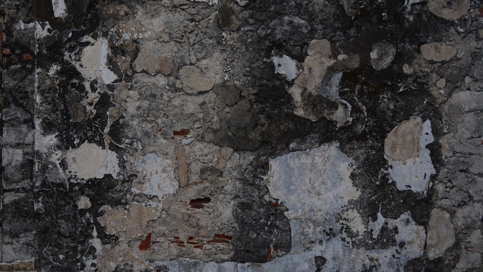 粗糙、陈旧、墙壁、纹理、石头、模具、对比、岩石