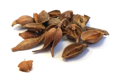 中药, 草本, 中药, 白色背景, 食品和饮料, 食品, 影棚拍摄, 静物 中药, 草本, 中药, 白色背景, 食品和饮料, 食品, 影棚拍摄, 静物