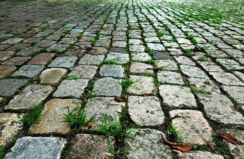 绿草、石头、鹅卵石、鹅卵石、街道、人行道、路面、表面 绿草、石头、鹅卵石、鹅卵石、街道、人行道、路面、表面