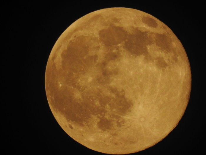 特写摄影，行星，自然，月亮，天空，森林，河流，河流，光，森林