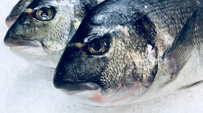 鱼、食品、营养、厨房、食用、海洋、健康、冷冻
