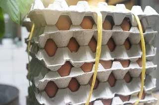 采购产品鸡蛋，商业厨房，鸡蛋托盘，盘子，厨房，烹饪，特写，食物