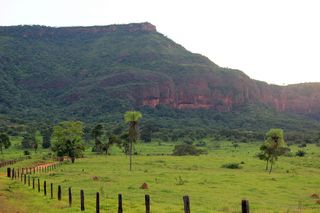 自然、户外、田野、农村、草原、农场、农村、牧场