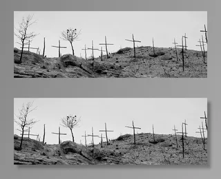 森林大火，烧毁的山，退化，死亡，艺术十字架，烧毁的木柴，天空，自然