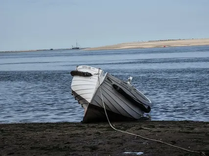 白色，小艇，沙子，身体，水，棕色，小船，白天