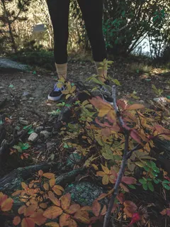 美国，沃德，运动鞋，鞋，时髦，树叶，秋天，森林