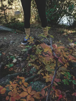 美国，沃德，运动鞋，鞋，时髦，树叶，秋天，森林