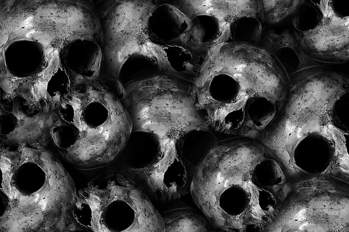 头骨插图，头骨，头骨和交叉骨，骷髅，骨头，死亡，死亡，恐怖