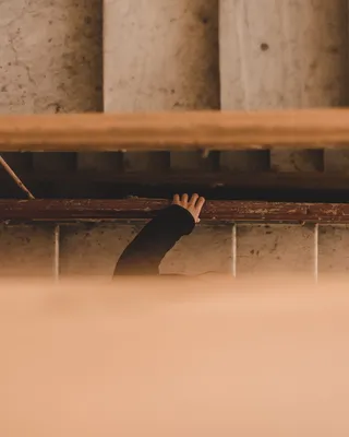 楼梯上的人，木头，胶合板，自然，户外，土壤，人，人