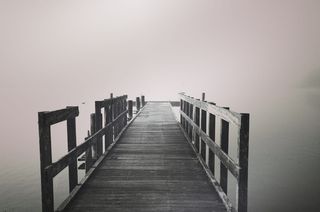 doc灰度照片，doc，灰度，照片，鸟，雾，水，更多