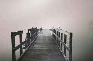 doc灰度照片，doc，灰度，照片，鸟，雾，水，更多