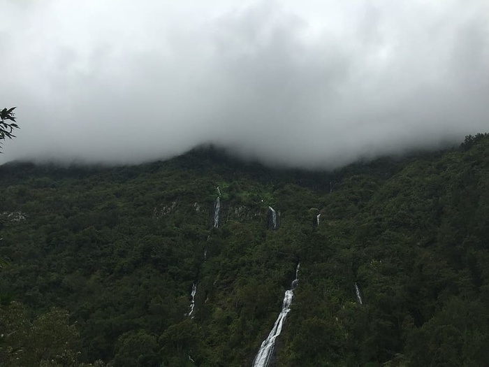 雾，风景，山，自然，户外，雨林，风景，树木