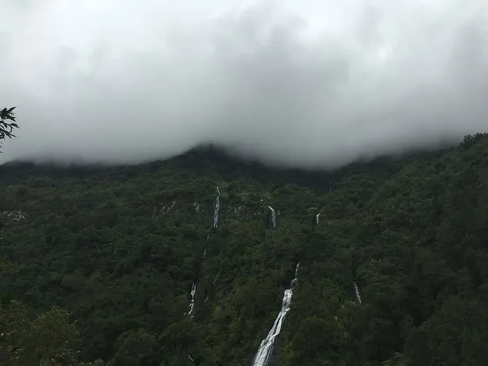 雾，风景，山，自然，户外，雨林，风景，树木
