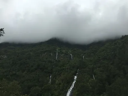 雾,风景,山,自然,户外,雨林,风景,树木 雾,风景,山,自然,户外,雨林,风景,树木