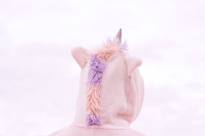 服装，独角兽，天空，狂欢节，化妆，粉色，狂欢节时间，特写