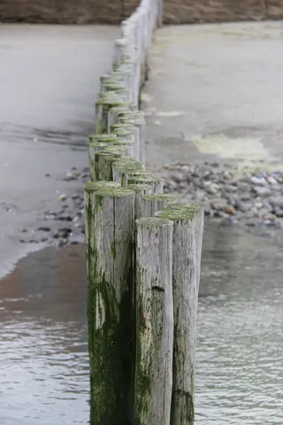 bay sum、海滩、木桩、水、自然、木质材料、立柱、木质立柱